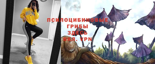 героин Абаза