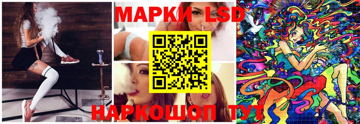 Наркотические марки 1500мкг  Наркотические марки 1500мкг  Вход с VPN  как найти наркотики  Нальчик 