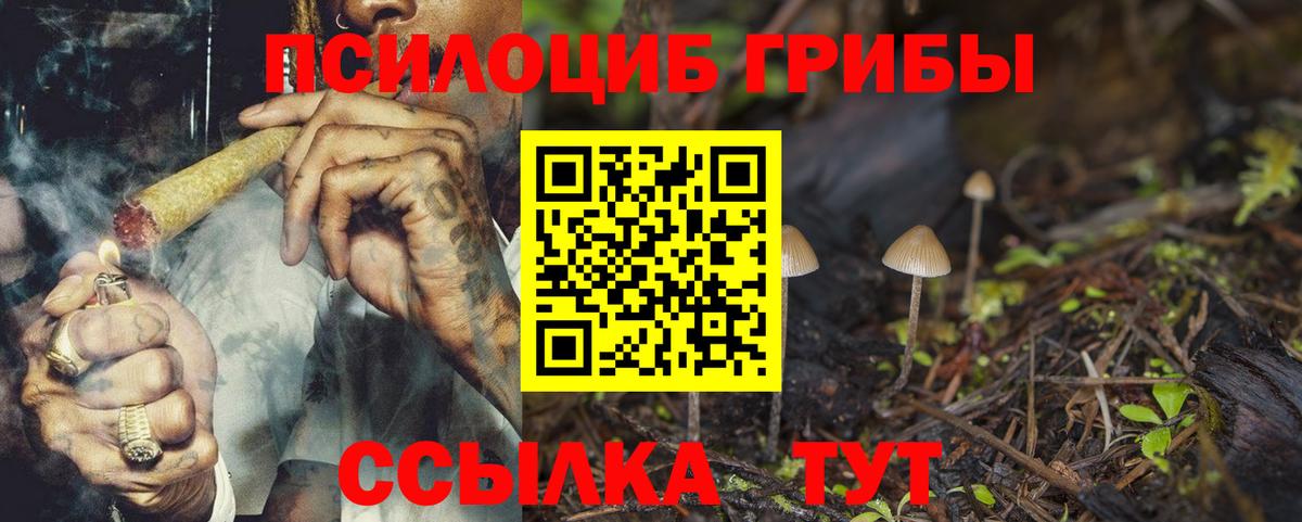 Нальчик  Псилоцибиновые грибы ЛСД  Вход с VPN 